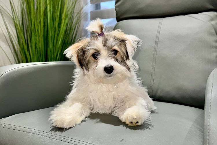 48484578-2f0d-4276-8802-6a1a1ac1d9c8